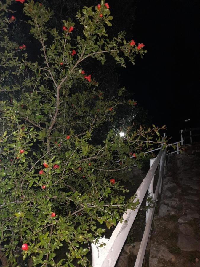 Vila La Casa Al Mare Peschici Exteriér fotografie
